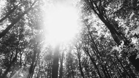 Against the Sun video thumbnail